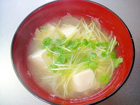 豆腐と白菜かいわれの味噌汁